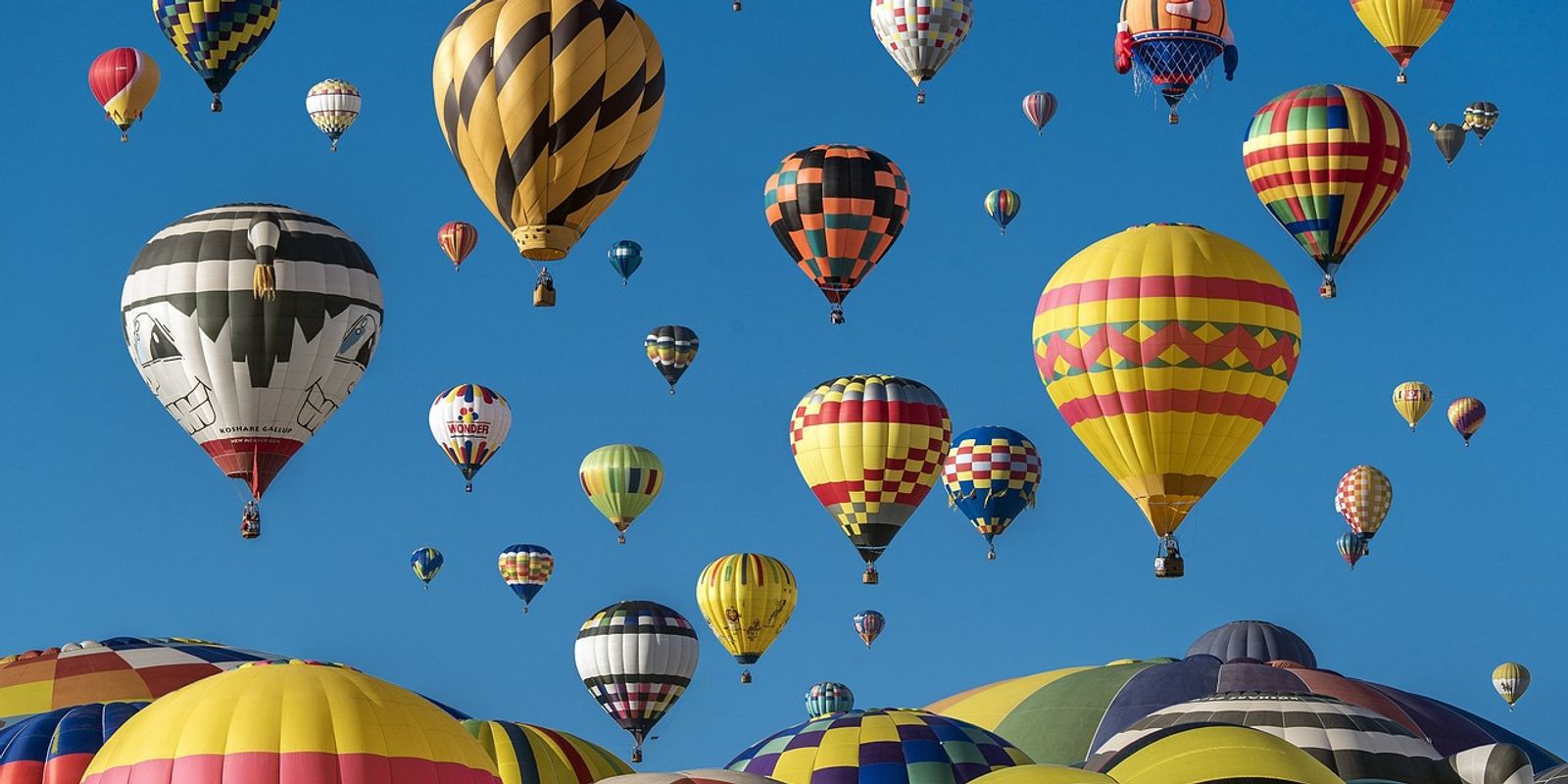 11 Epic Beginner Friendly Adventures to Try in 2024