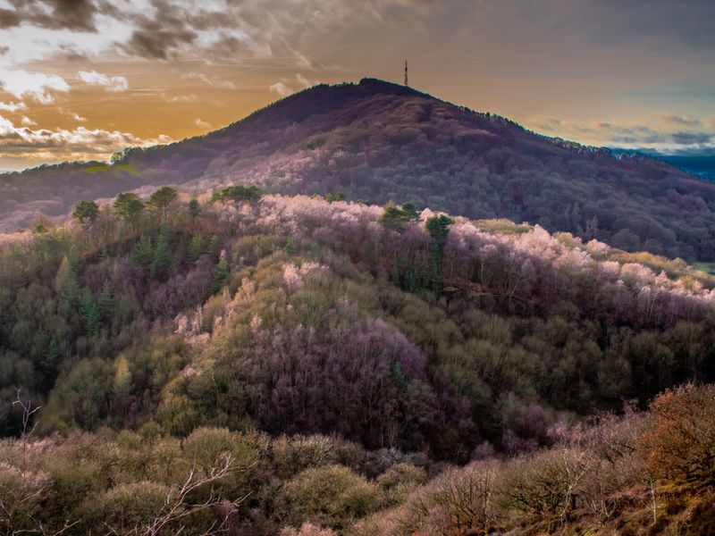 WALKING THE WREKIN, TELFORD