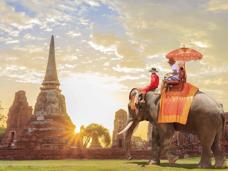  Wildlife Tour India: Embarking on Journey into the Exquisite Wilderness