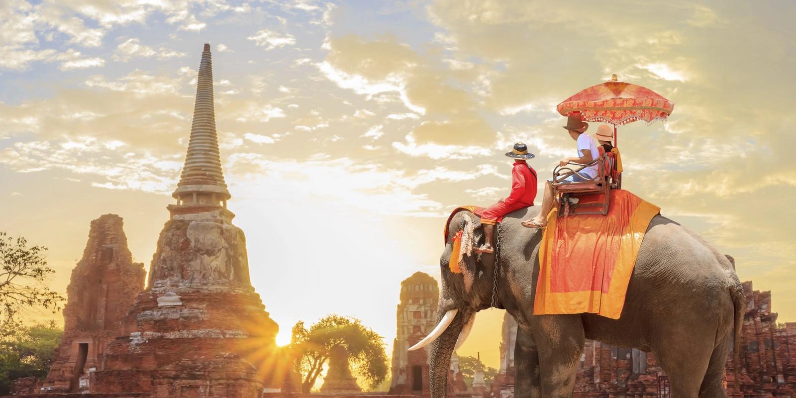  Wildlife Tour India: Embarking on Journey into the Exquisite Wilderness