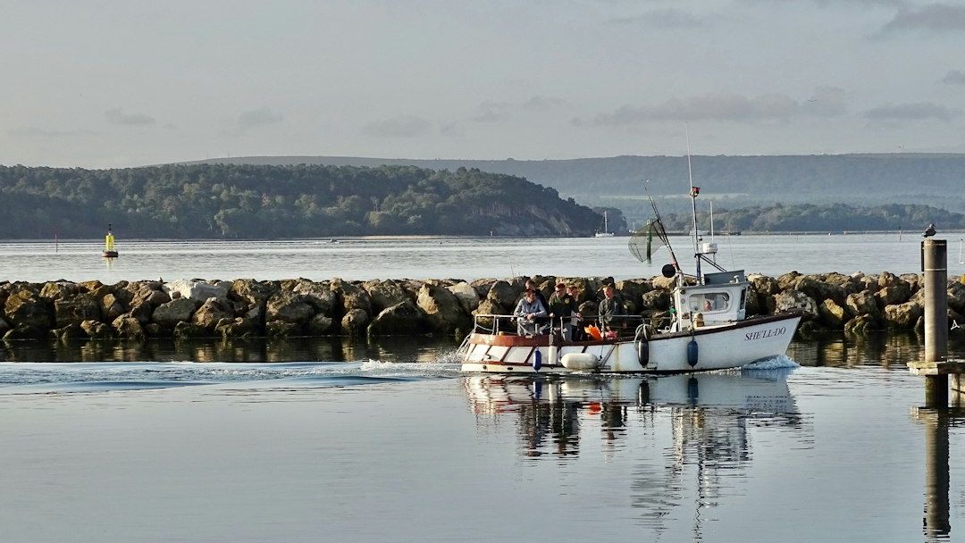 Poole-Cherbourg Ferry Ends Early