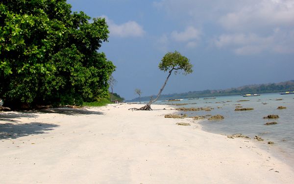 5 Things To Watch Out For On Holiday