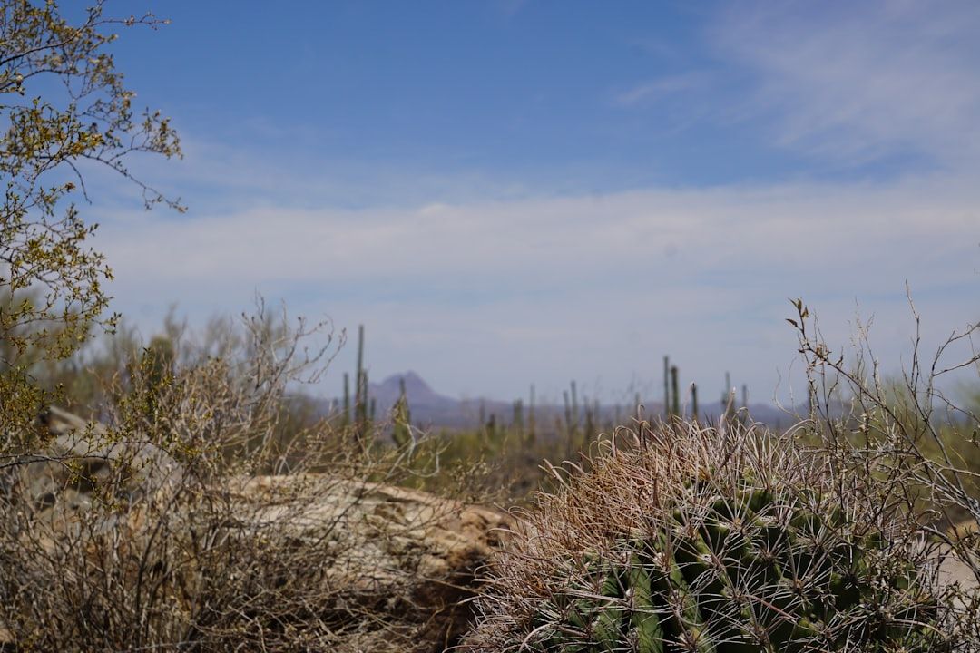 Tucson, United States