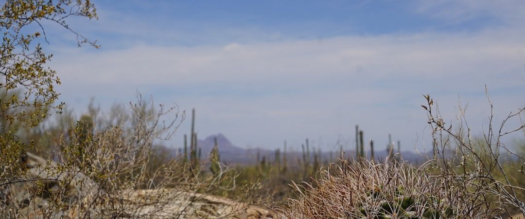 Tucson, United States