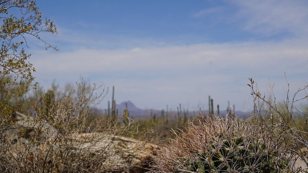 Tucson, United States