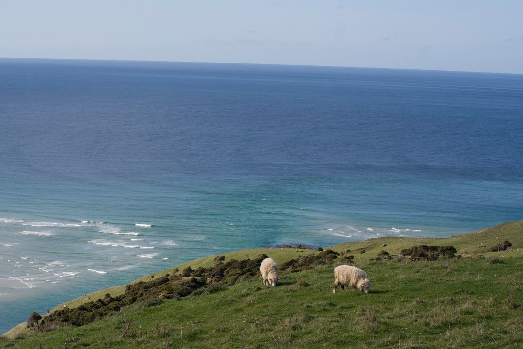 Dunedin, New Zealand