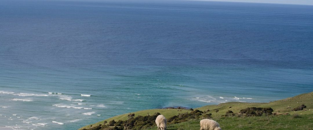 Dunedin, New Zealand