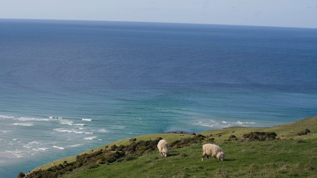 Dunedin, New Zealand