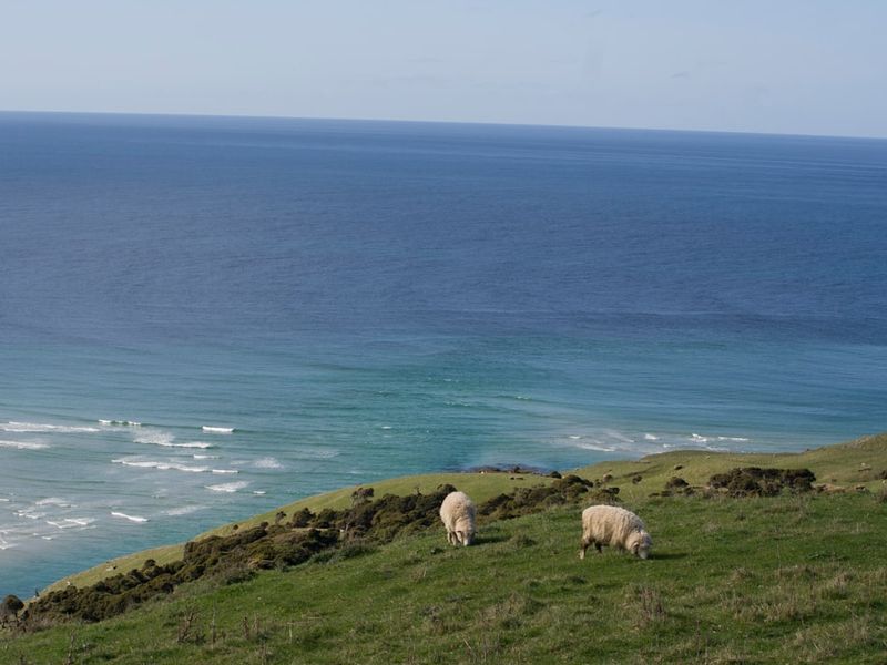 Dunedin, New Zealand