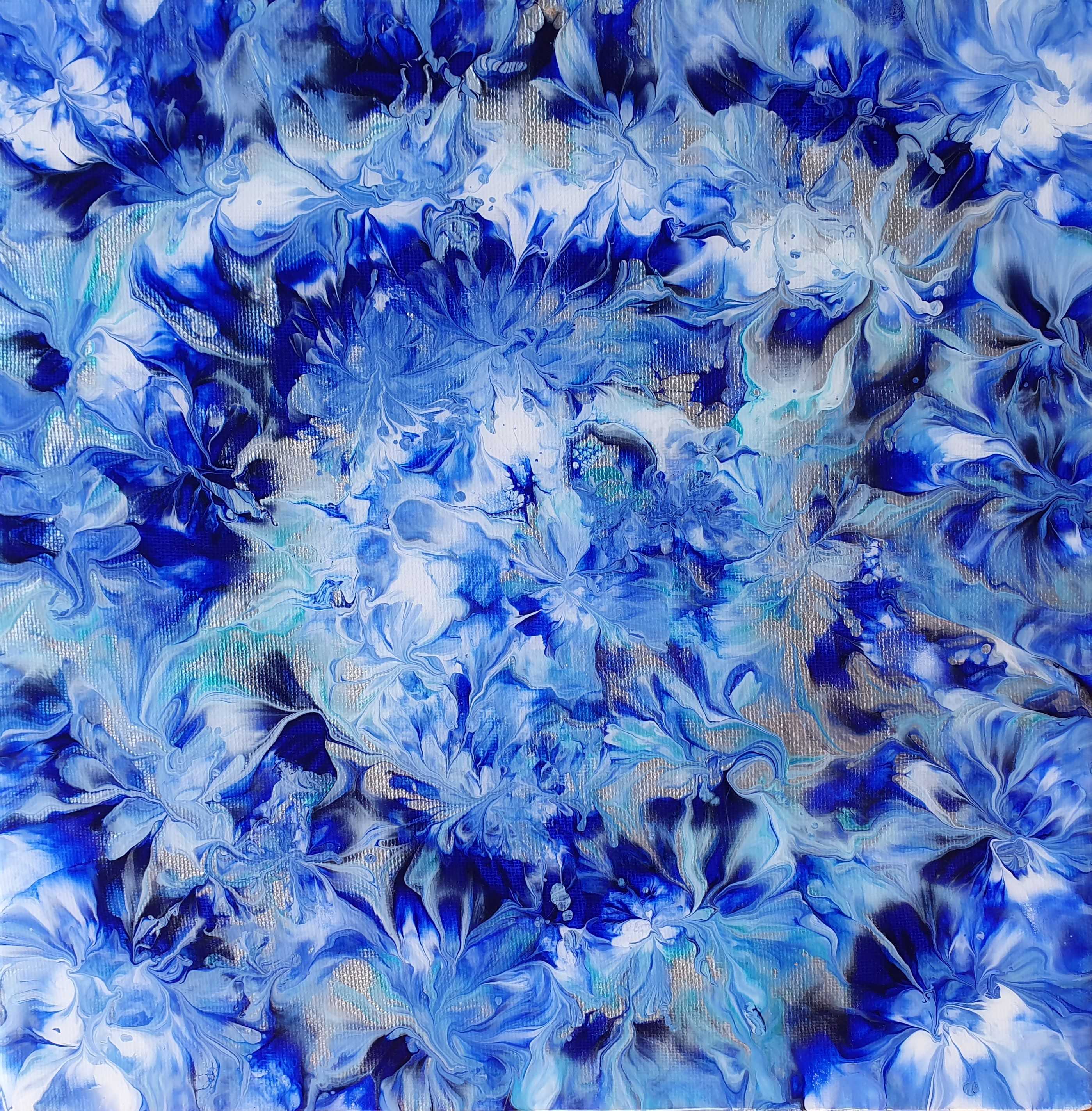 Delphiniums