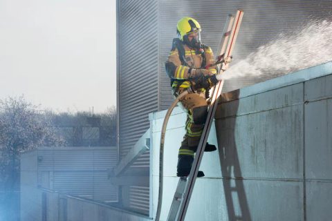 Dräger PSS® Safety Belt