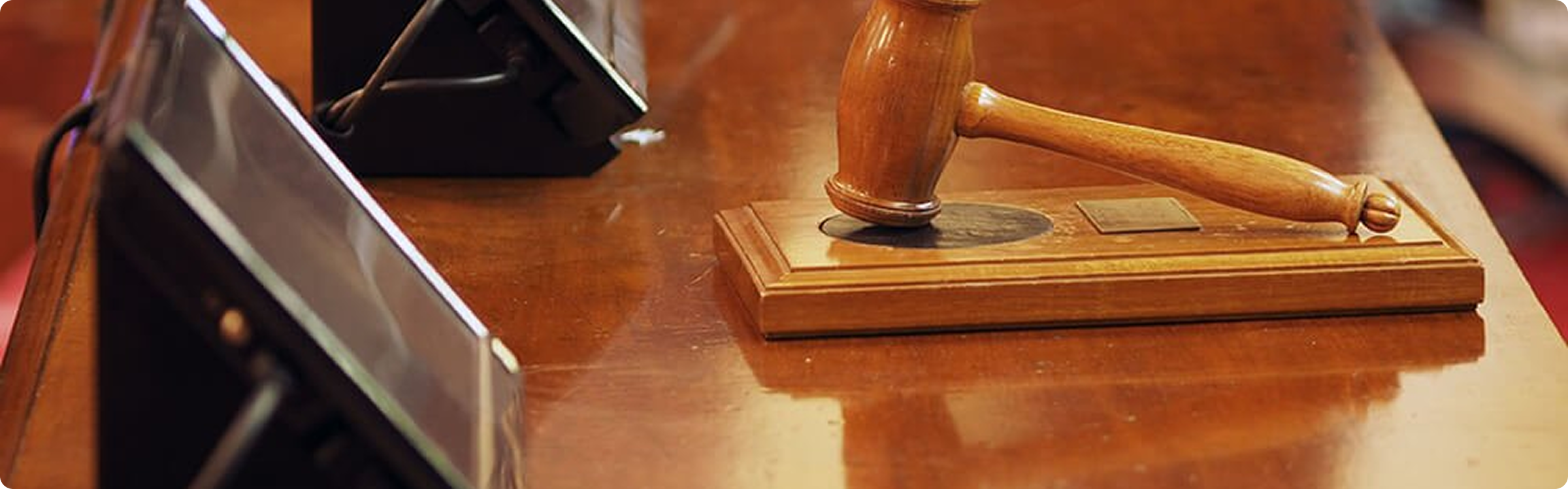 Where Do Auctioneers Come From?