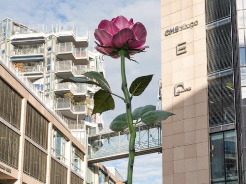 Nytt kunstverk på Bryggetorget: Pink Rose