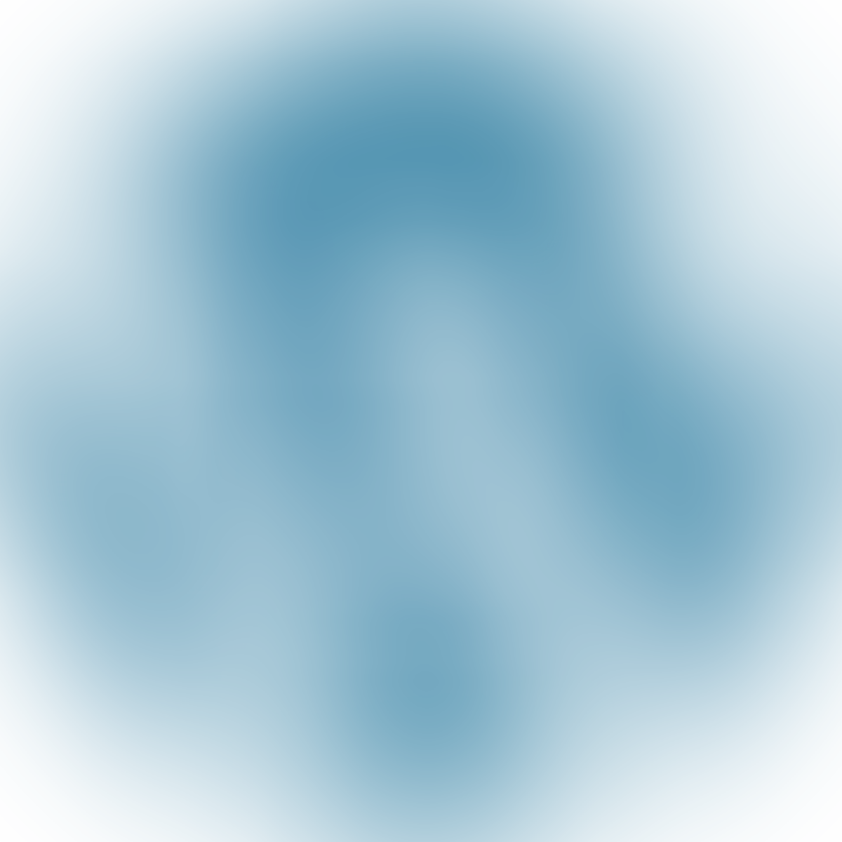 Placeholder for image "Wordpress Logo"