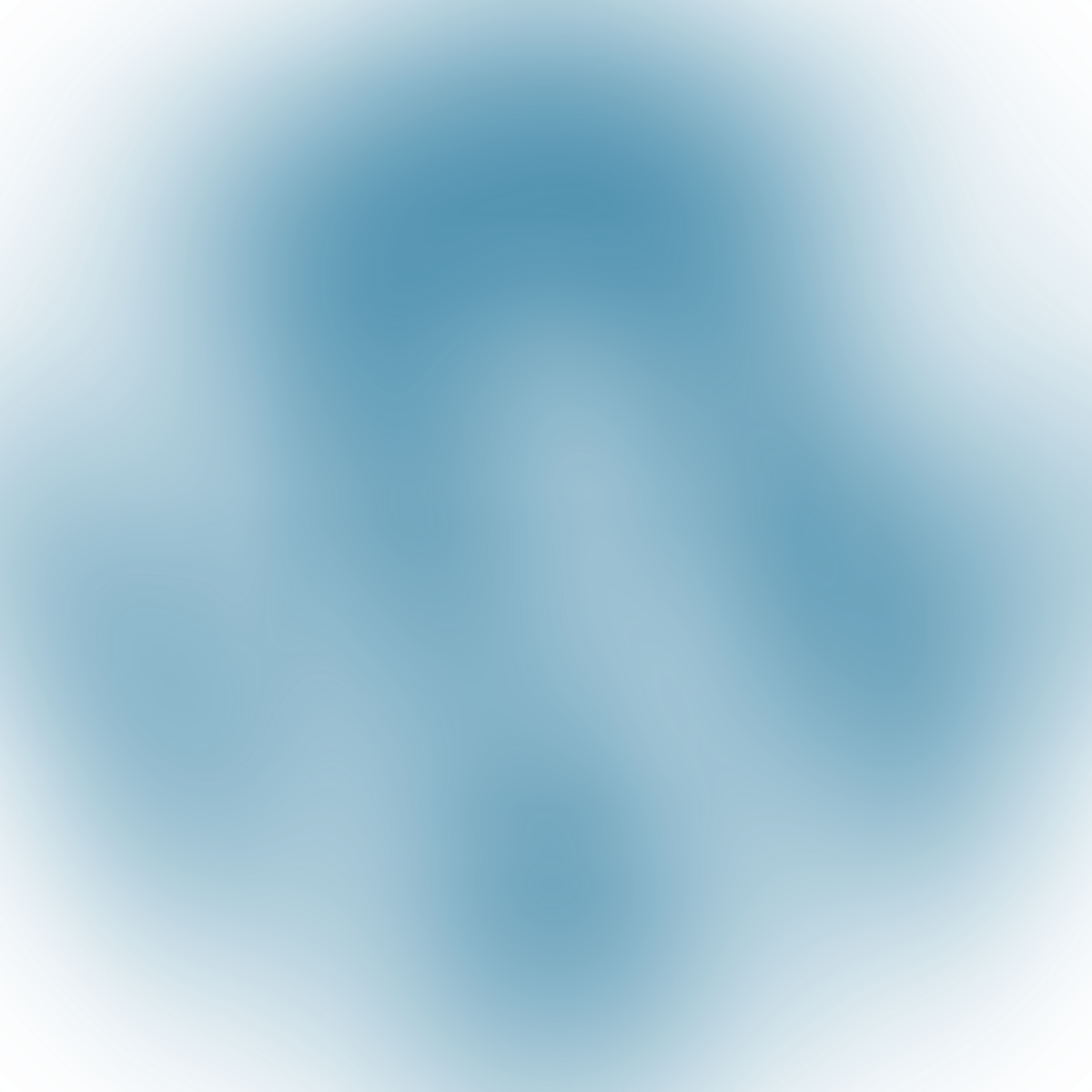 Placeholder for image "Wordpress Logo"