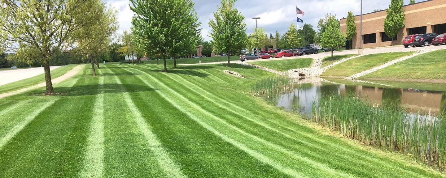 Commercial Lawn Maintenance Services in Central New Jersey