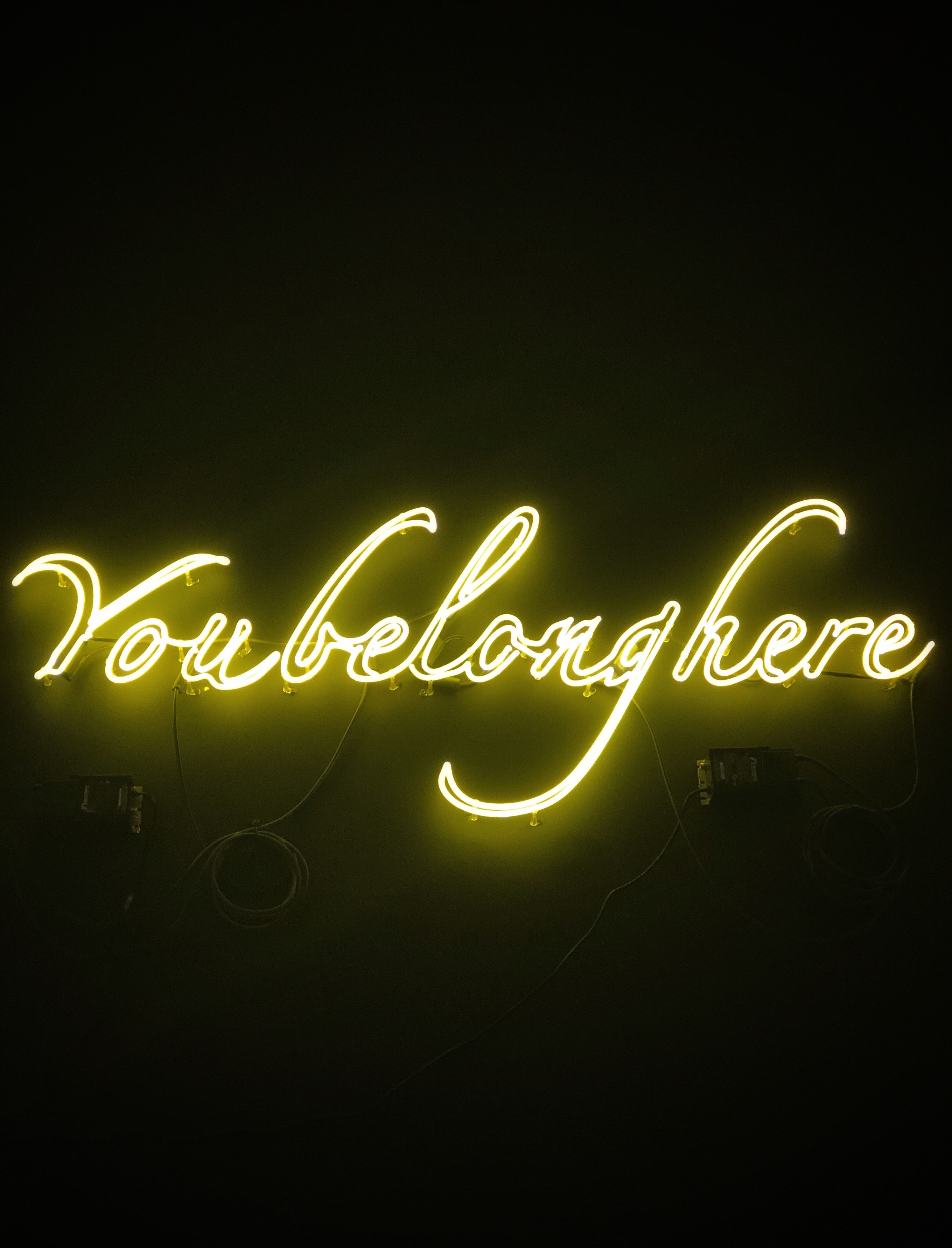 Neon sign that reads "you belong here". 