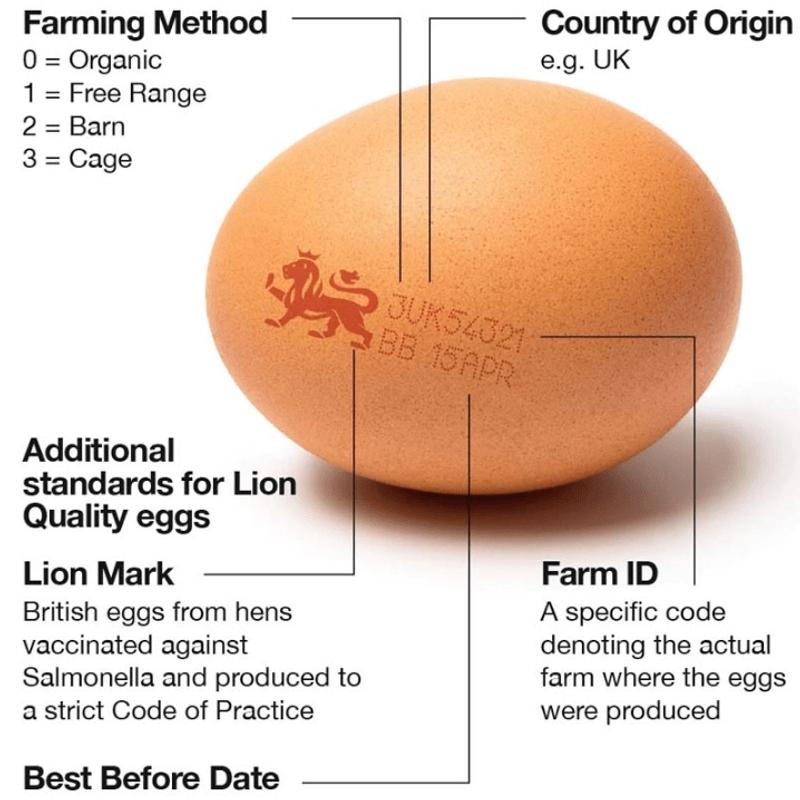 british_lion_egg