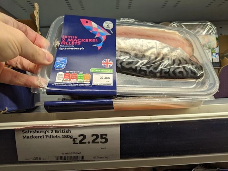 mackerel