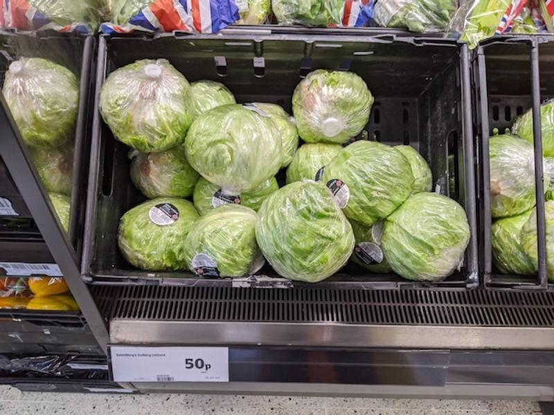 lettuce