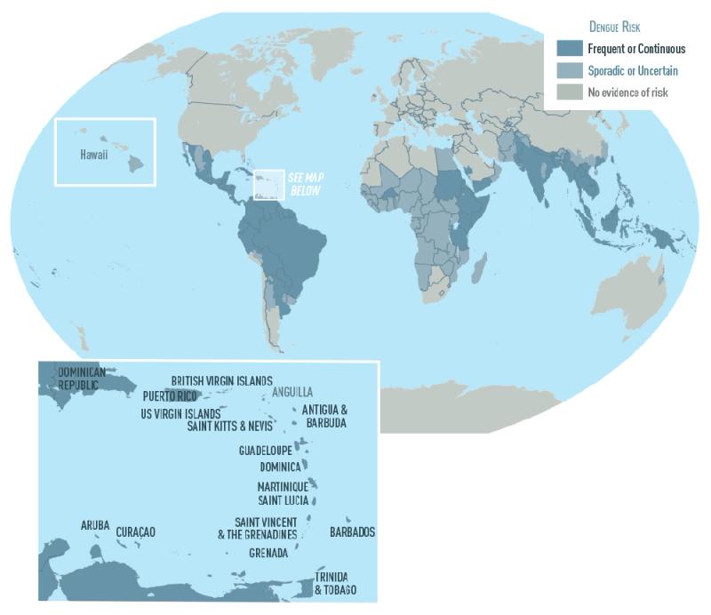 dengue_around_the_world