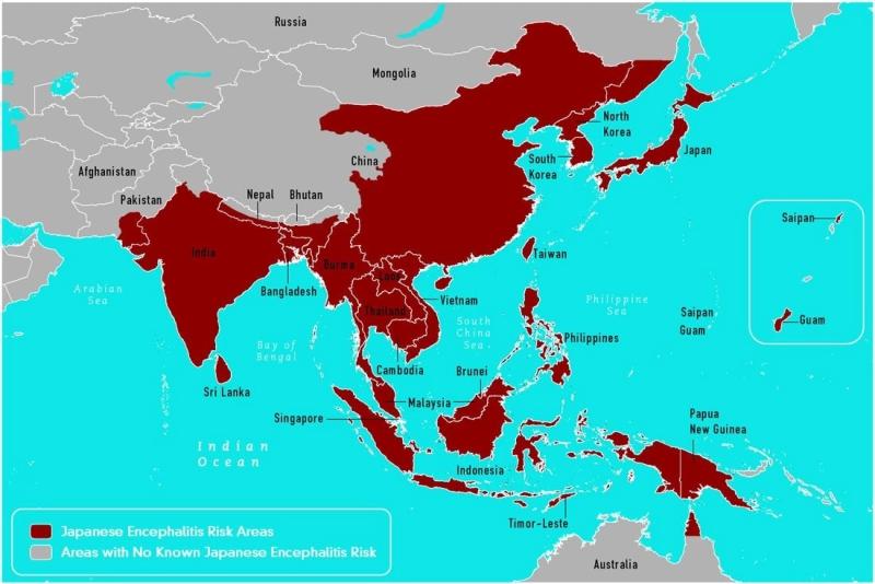 japanese_encephalitis_virus
