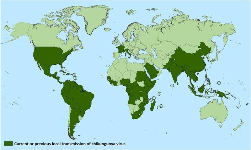 chikungunya_virus_distribution