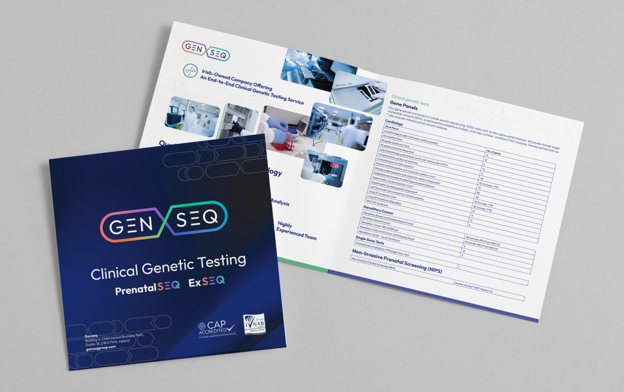 completed brand book showing cover and open pages