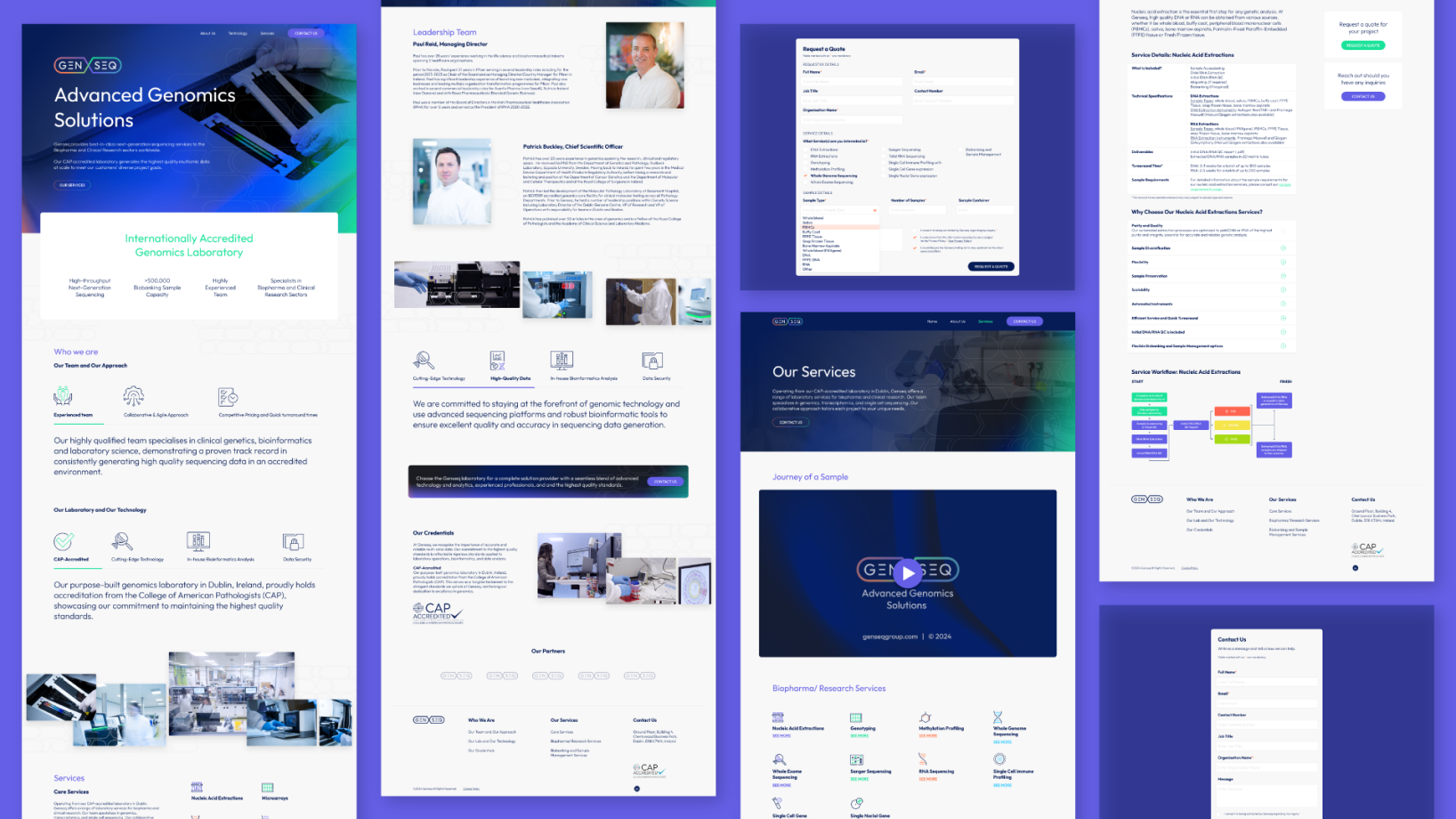 multiple views of a healthcare website design