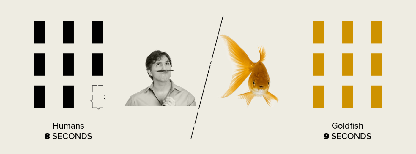 Human vs Goldfish Attention Span; Human -  8 seconds and Goldfish - 9 seconds