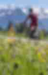 Sports Tourism
