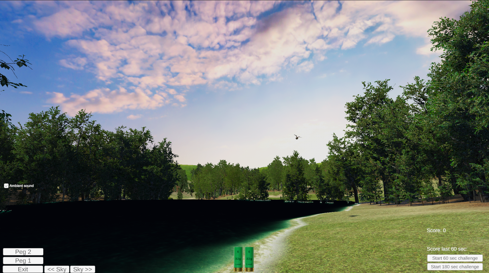 Forest Hunting Environment