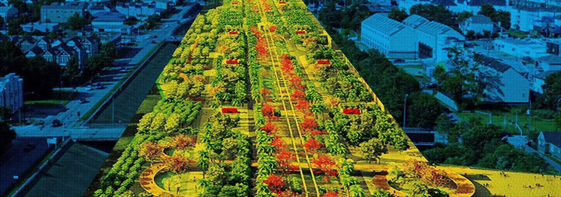 Shedding the metal-and-glass layers of a car has allowed me to feel more connected to the city around me. Illustration: Evan O'Neil.