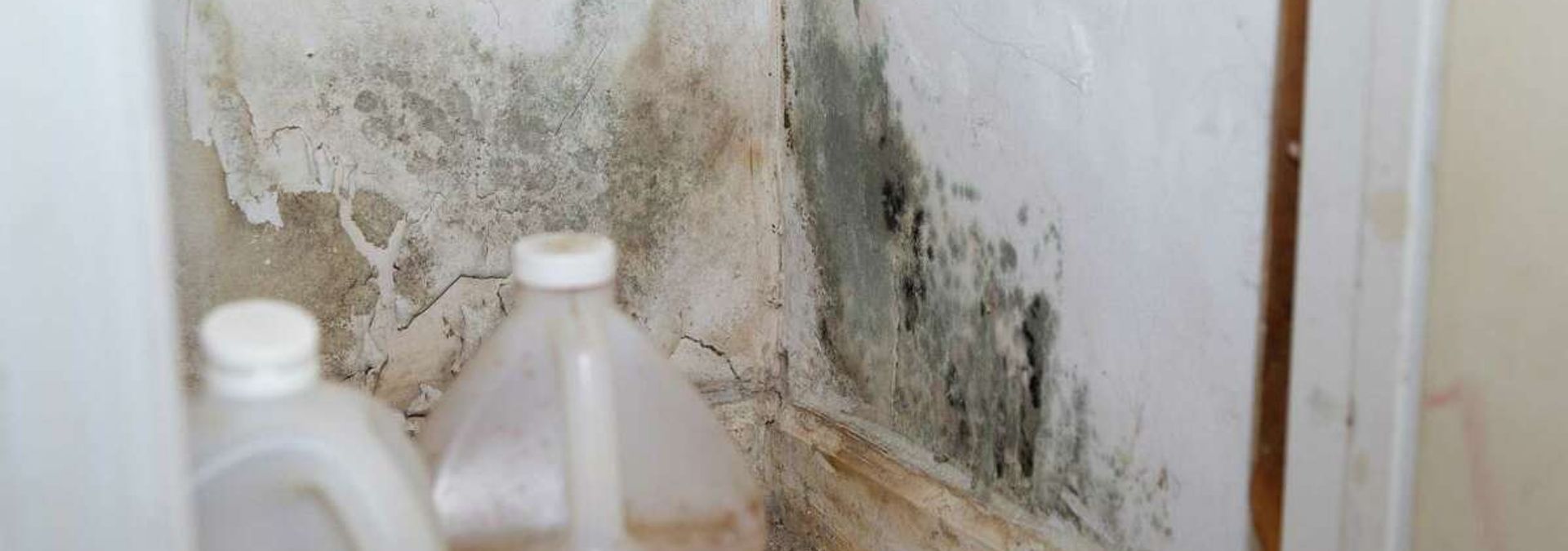 Five years later, mold lingers in the pantry of Gloria Smith's home in Acres Homes, which was flooded by Hurricane Harvey. Photo: Yi-Chin Lee.