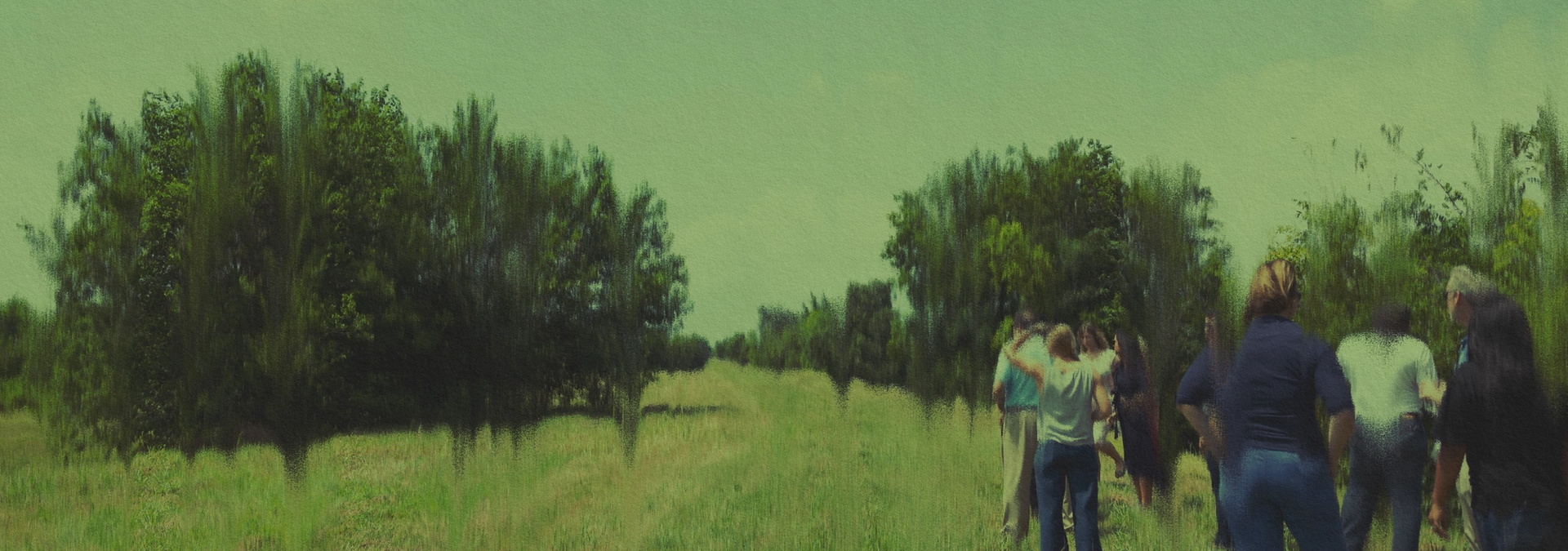 During Project 11, the U.S. Army Corps of Engineers plans to add dredged sediment from the Ship Channel to existing deposit sites like this in Pleasantville. Photo: Annie Mulligan for the Environmental Defense Fund. Illustration: Evan O'Neil.