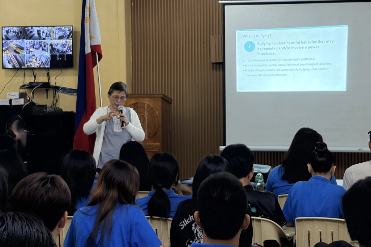 Sr. Mae Ann T. Flores, Fmm