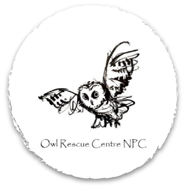 Owl Rescue Centre 