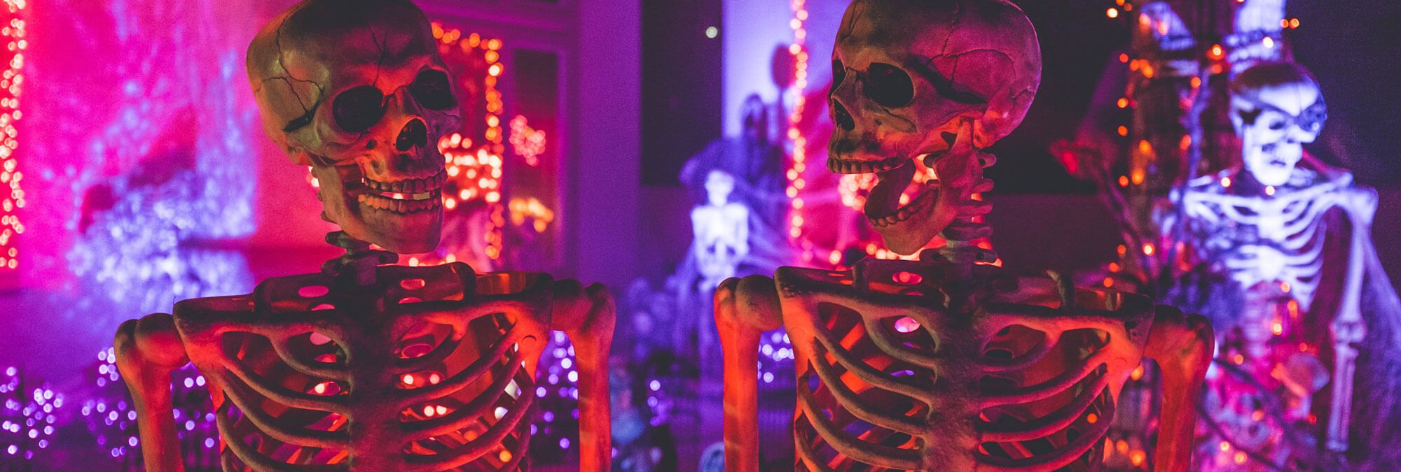 Halloween Waste