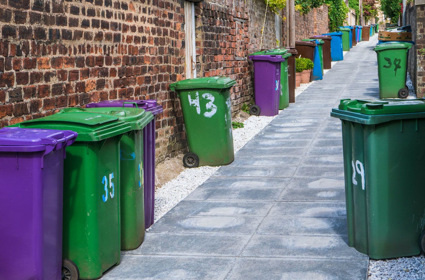 wheelie bin day