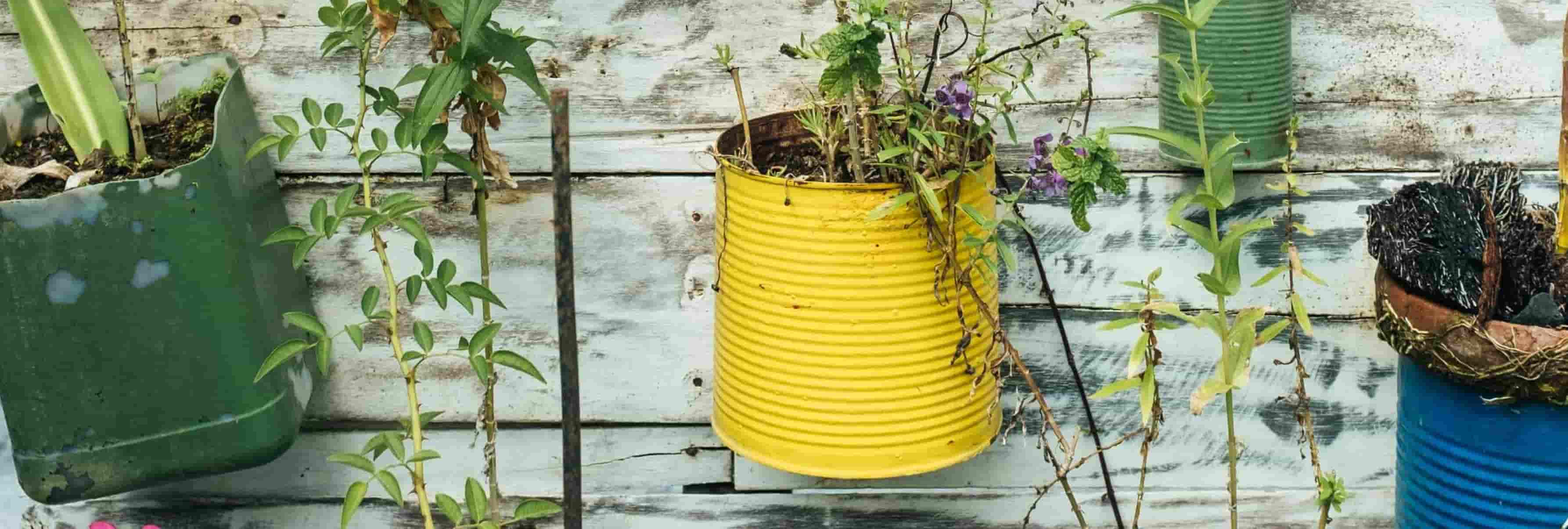 The importance of recycling