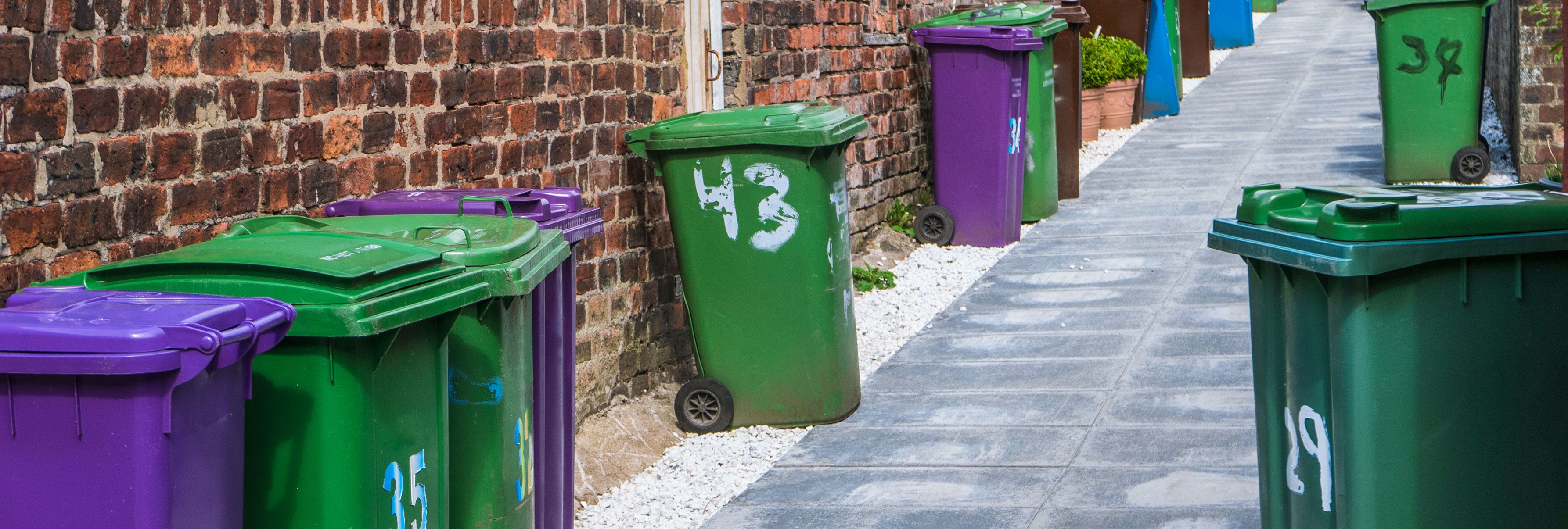Every Day is Wheelie Bin Day