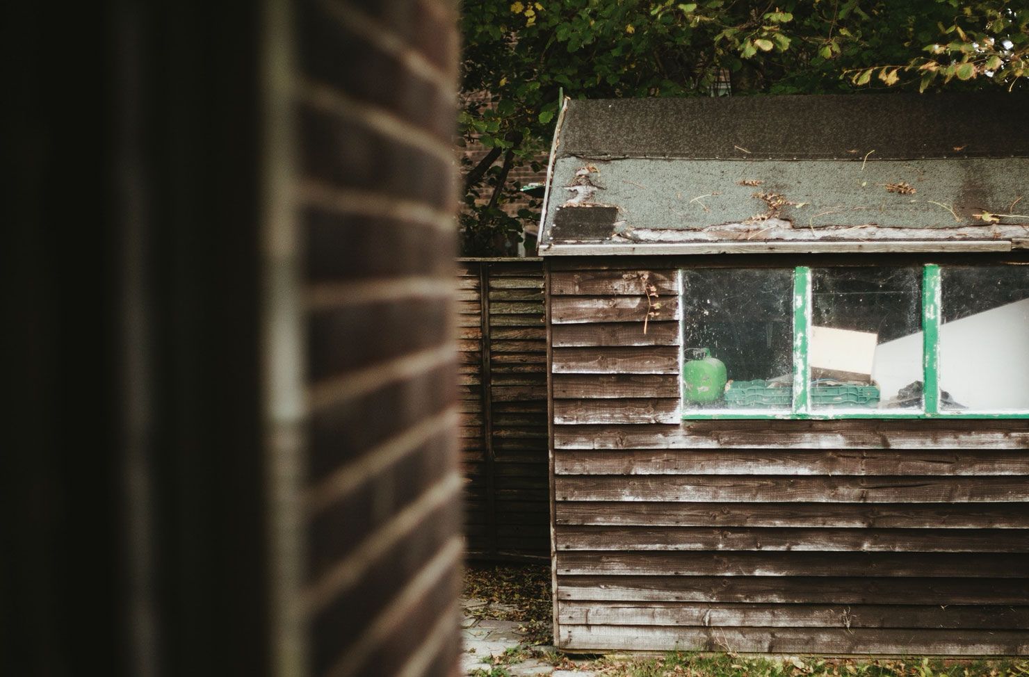shed in back garden