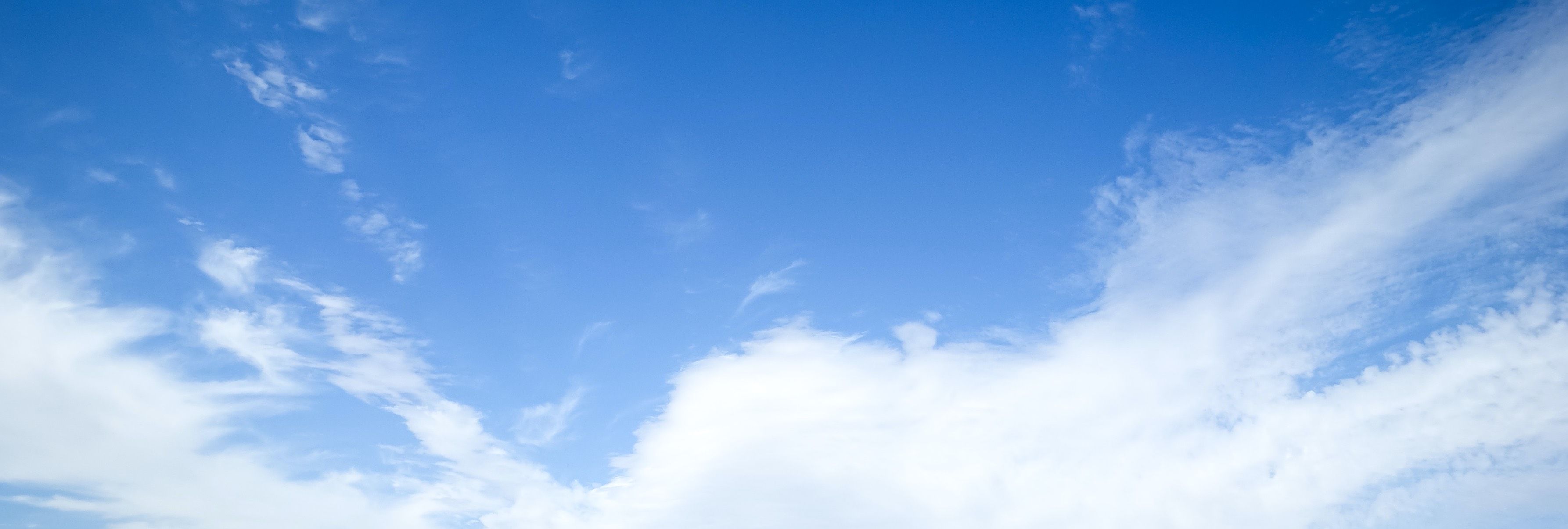 The Perfect Weather for a Clear Out