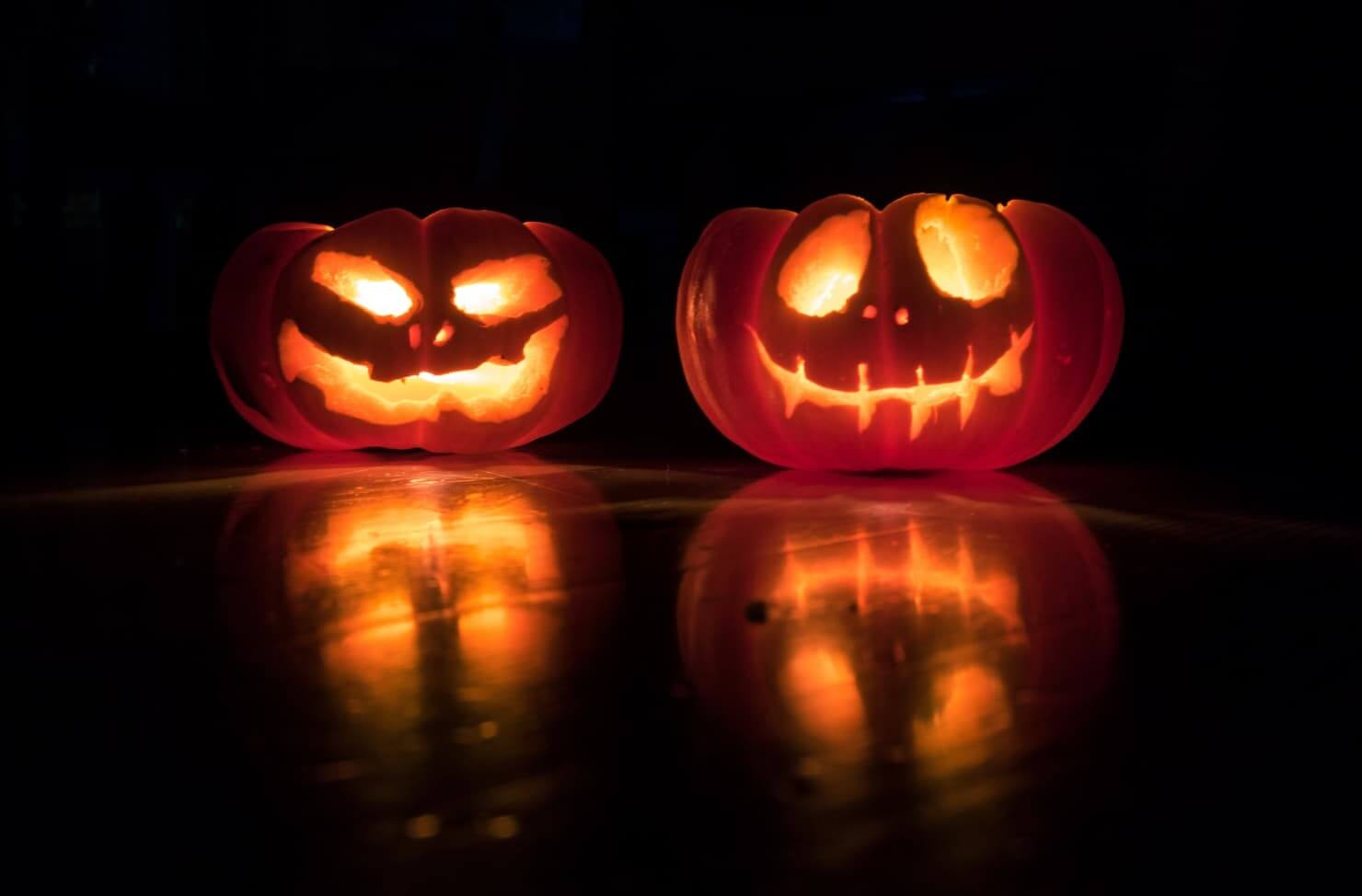 Halloween pumpkin food waste