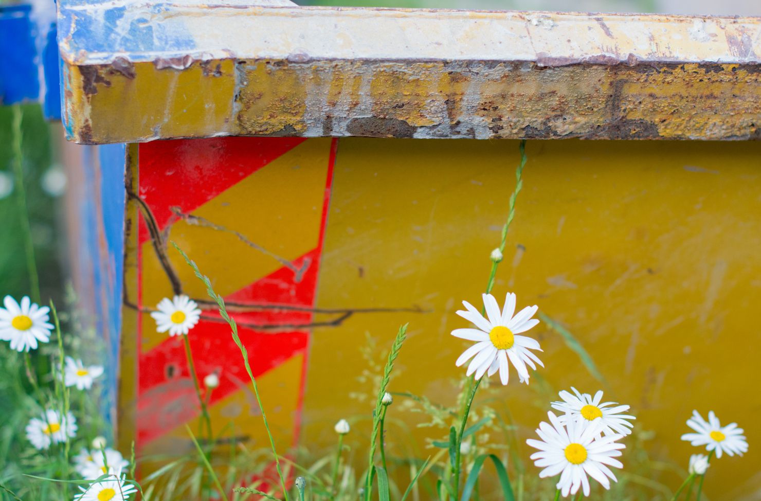 wait and load skip and flowers