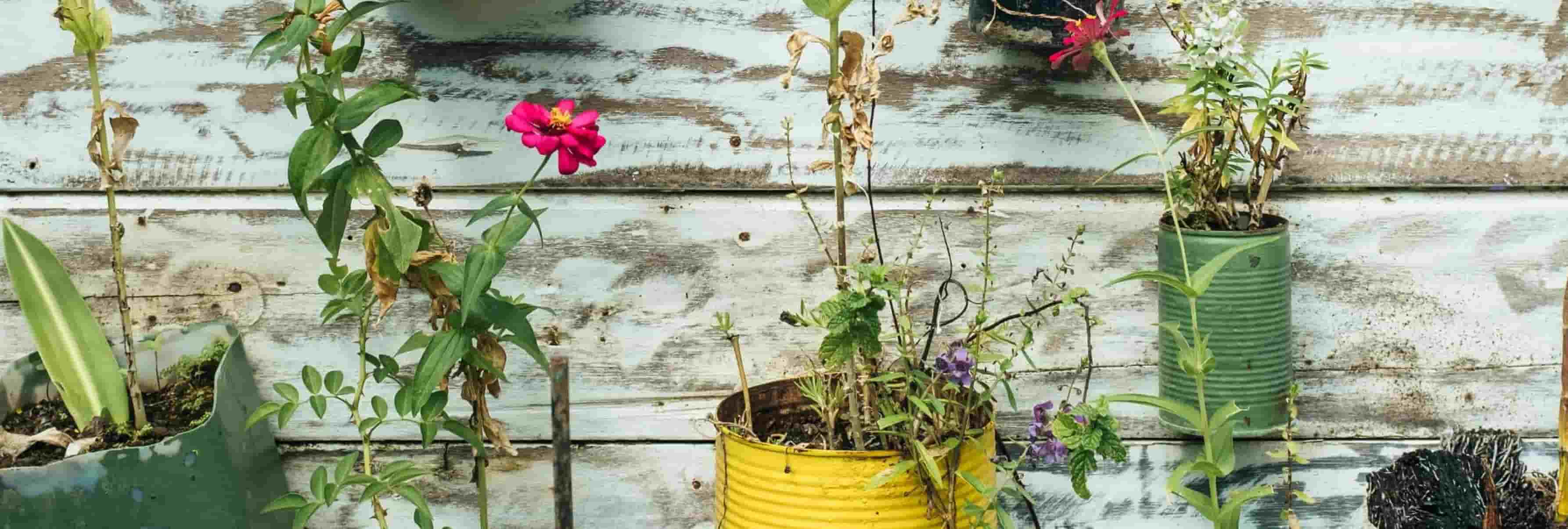 Fantastic Home Improvements & how to Clean up After Them