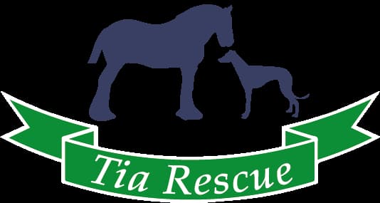 Tia Greyhound Rescue