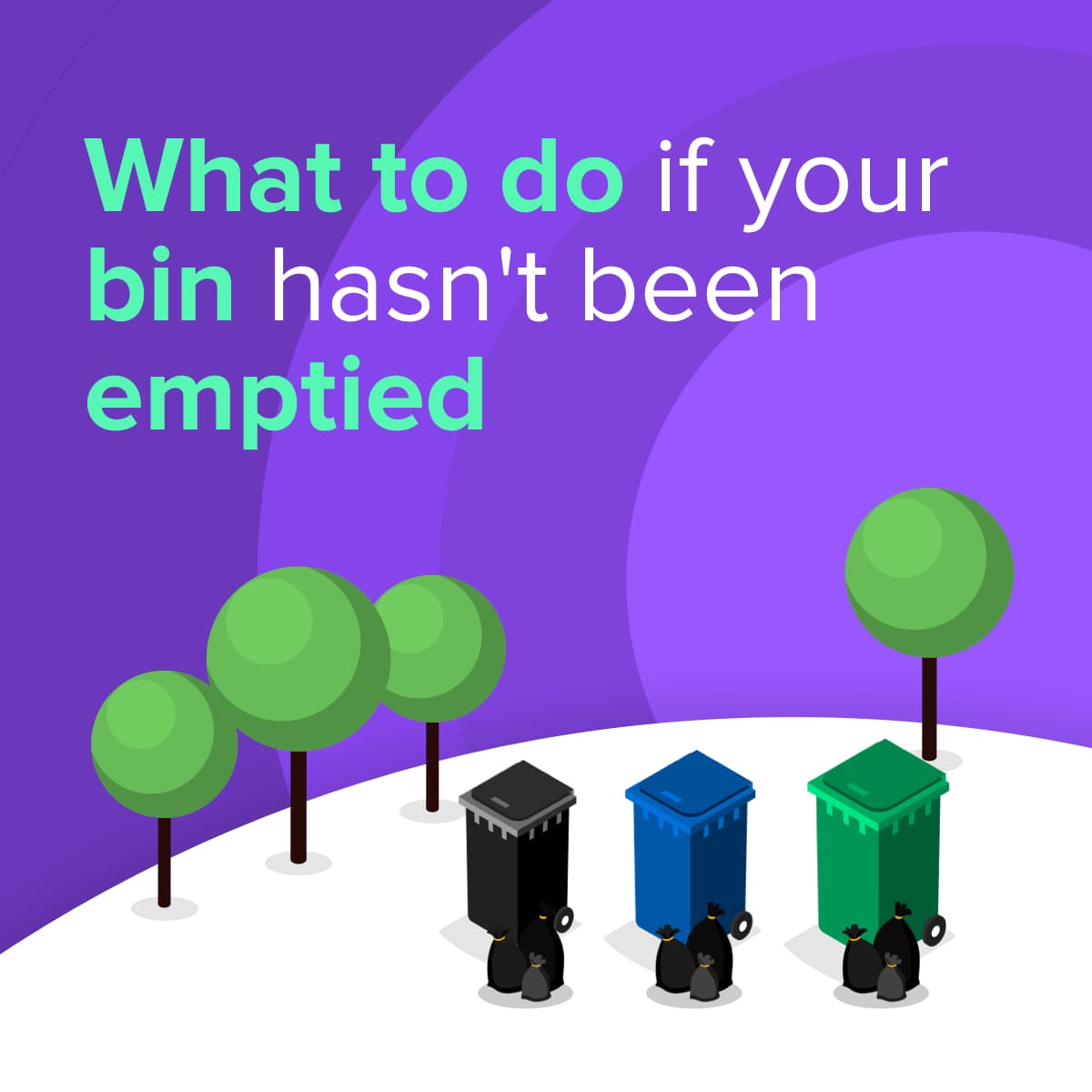 What to do if your bin hasn't been emptied Clearabee