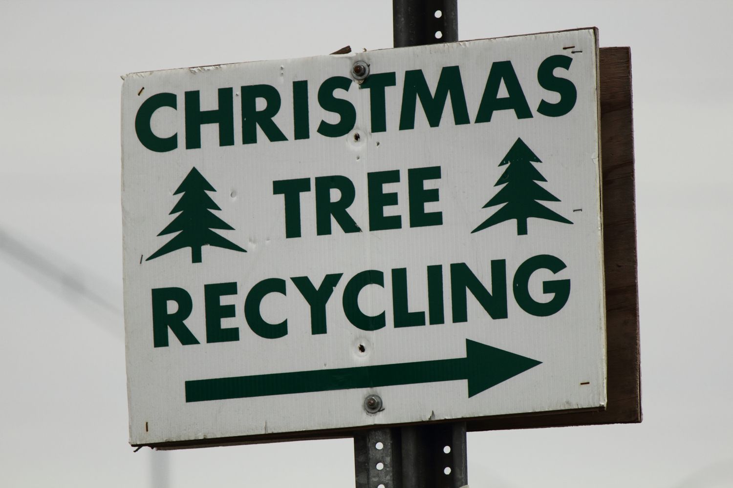 Christmas tree recycling road sign