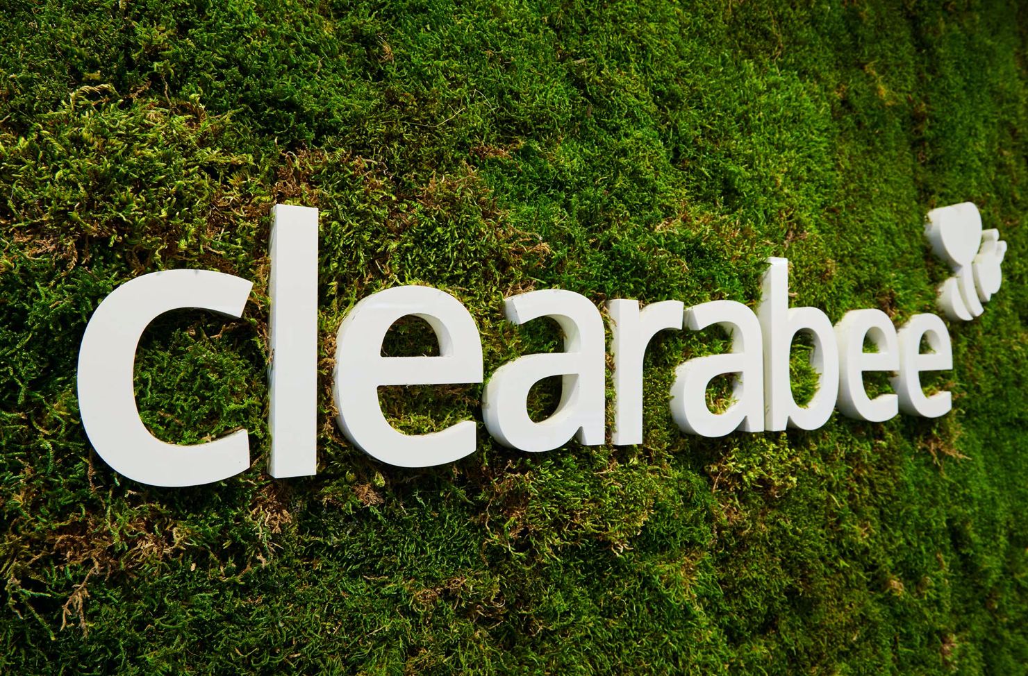 Clearabee on a moss wall